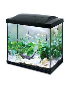 Merevesi Akvaarium TEST2