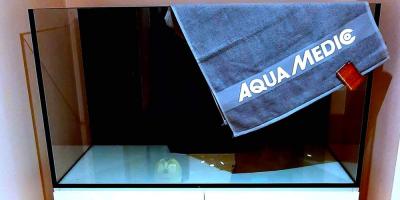 Mageveest merevette ehk tahan ju nemosid.