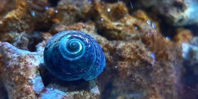 Ootused ja lootused...ja ootused!