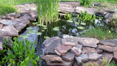 Kuidas valida tiigile õhupumpa?